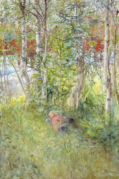 A Nap Outdoors von Carl Larsson