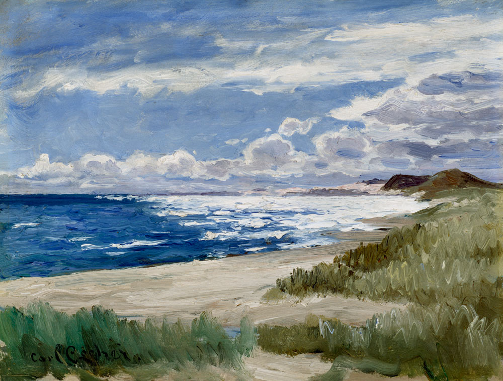 Am Strand von Skagen von Carl Locher