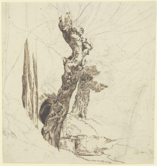 Weidenbäume bei der Grotte der Nymphe Egeria von Carl Philipp Fohr