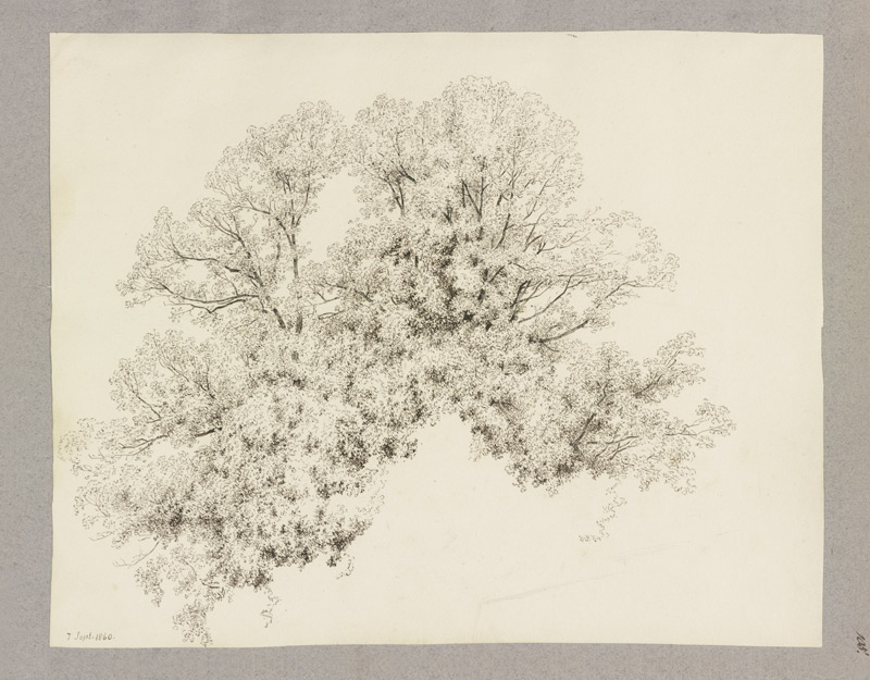 Klebebände, Band 20, Seite 105 von Carl Theodor Reiffenstein