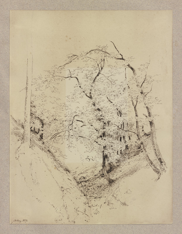 Waldpartie in einer Talsohle, im Hintergrund ein Frischling von Carl Theodor Reiffenstein