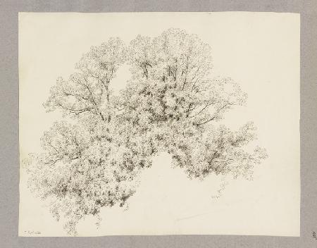 Klebebände, Band 20, Seite 105