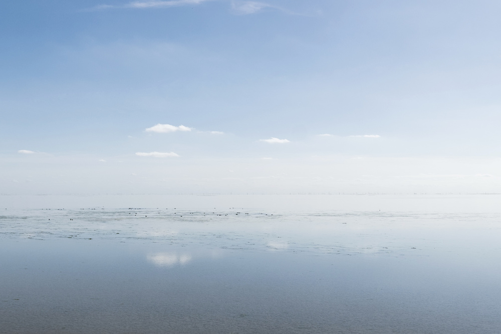 Silence von Carla Vermeend