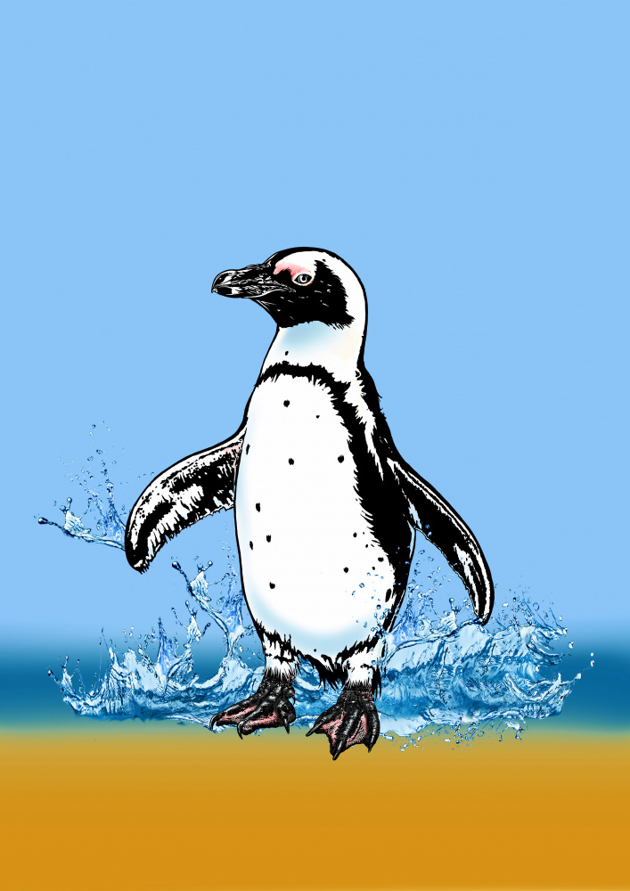 Cute Penguin splashing von Carlo Kaminski