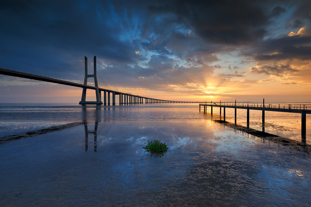 P H Y S I C A L von Carlos Resende