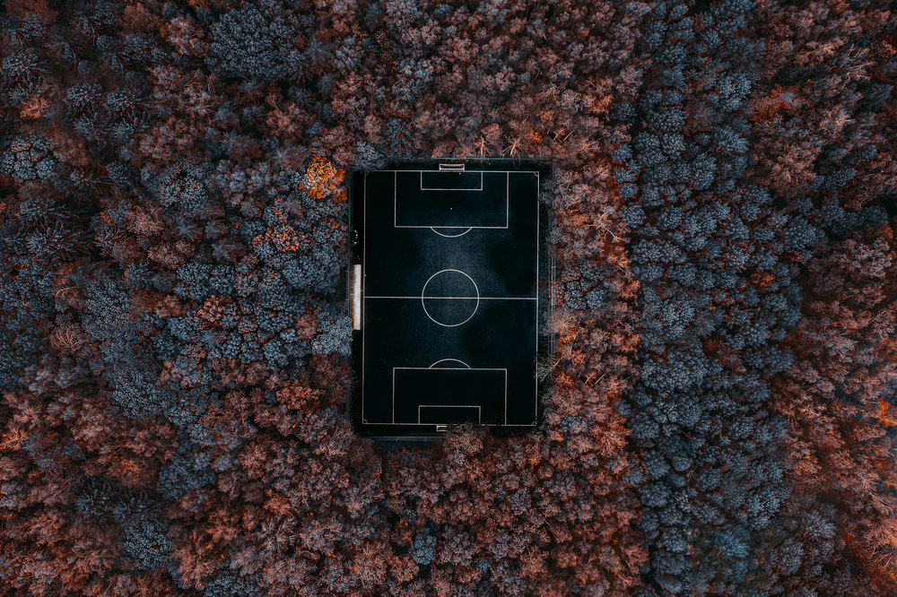 playing in the forest von Carmine Chiriaco