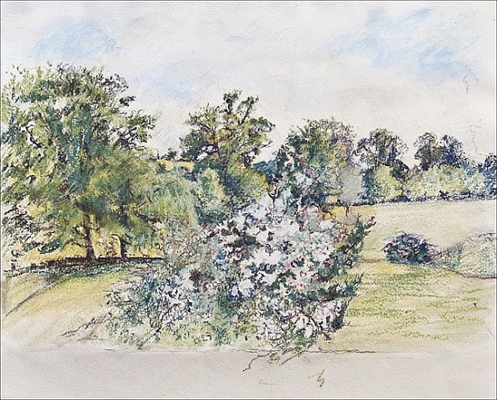 August from Our Window (pastel and and on paper) von Caroline  Hervey-Bathurst