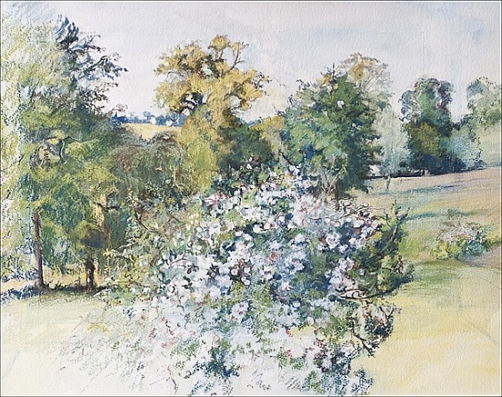 June from Our Window (pastel and and on paper) von Caroline  Hervey-Bathurst