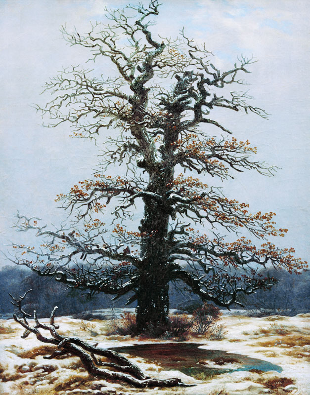 Eiche im Schnee von Caspar David Friedrich