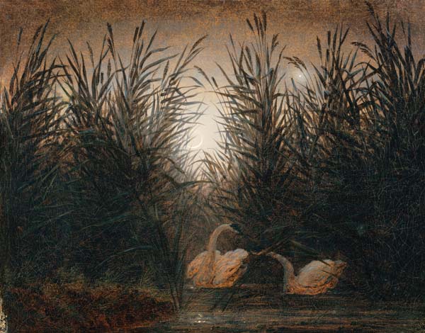 Schwäne im Schilf von Caspar David Friedrich