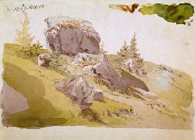 Wiesenstück Riesengebirge