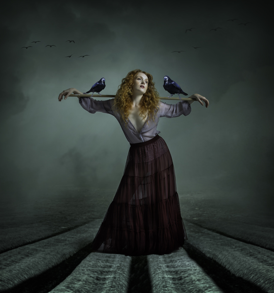 The Useless Scarecrow von Catchlight Studio