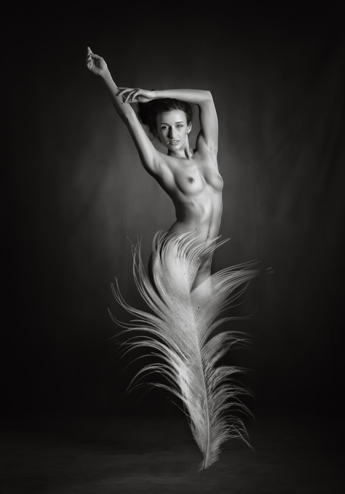 Light as a feather von Catchlight Studio