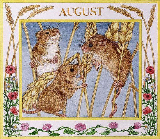 August (w/c on paper)  von Catherine  Bradbury
