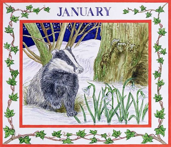 January (w/c on paper)  von Catherine  Bradbury