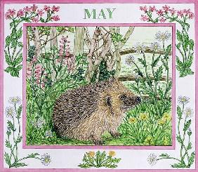 May (w/c on paper) 