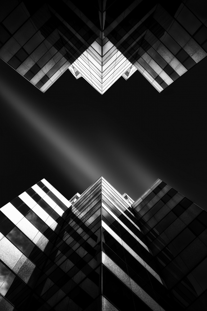 Look Up von Catherine W.