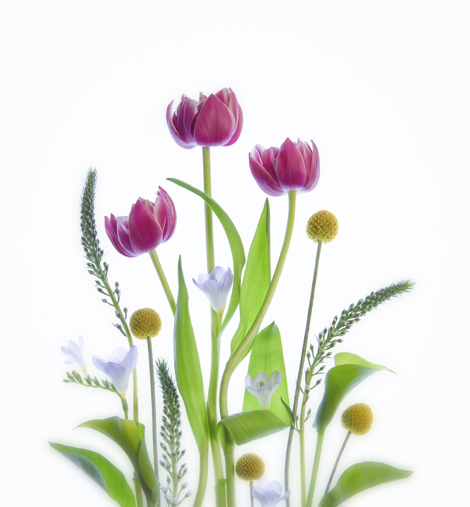 Together von Catherine W.