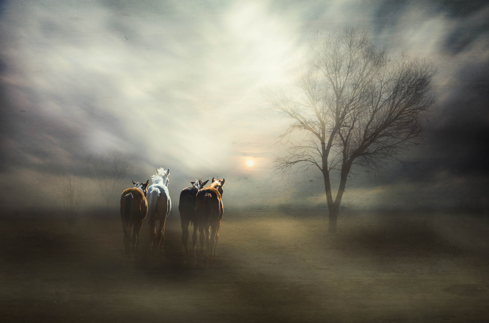 For tomorrow may rain, so well follow the sun... von Charlaine Gerber