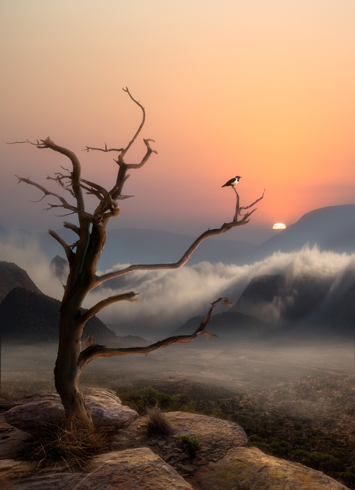 ...Its a new dawn, its a new day, its a new life.... von Charlaine Gerber