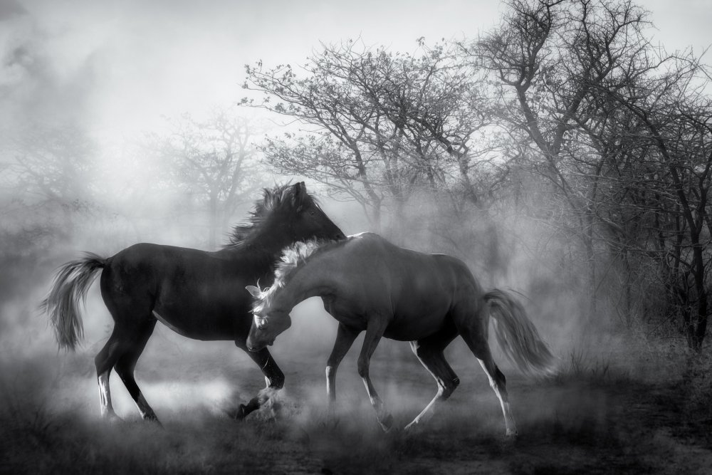 Playing in the dust... von Charlaine Gerber