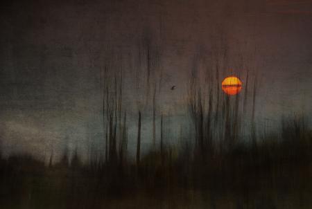 ...and the moon stood still for the night birds song...