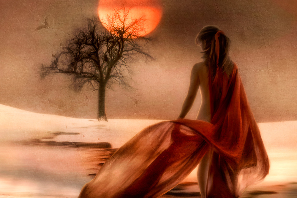 ...like the sun through the trees you came to love me.. von Charlaine Gerber