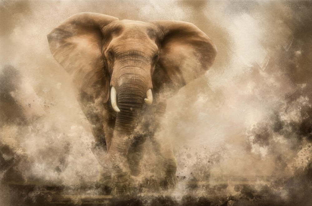 ...Raging Elephant Bull charging... von Charlaine Gerber