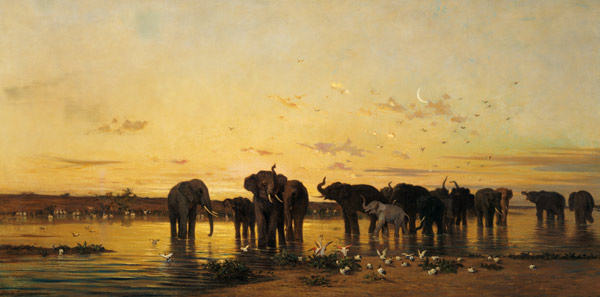 African Elephants von Charles Emile de Tournemine