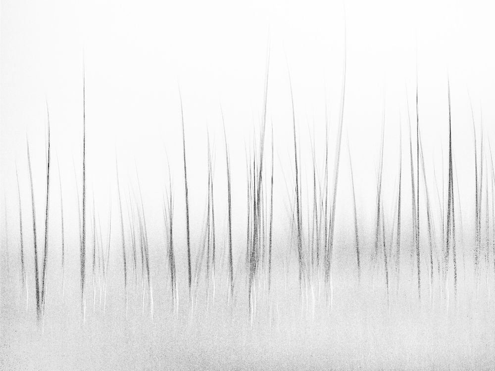 Winterlandschaft in Yellowstone von Charles Lai