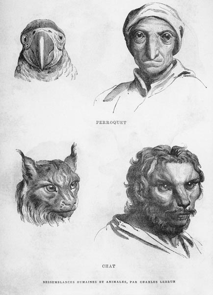 Ähnlichkeiten zw. Mensch u.Tier/Le Brun von Charles Le Brun
