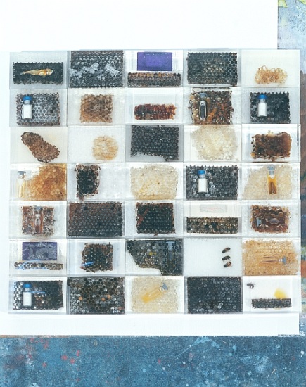 Bee resin casts von Charlie Millar