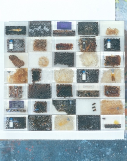 Bee resin casts von Charlie Millar