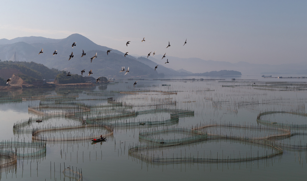 An aquaculture farm at Fuding von Cheng Chang
