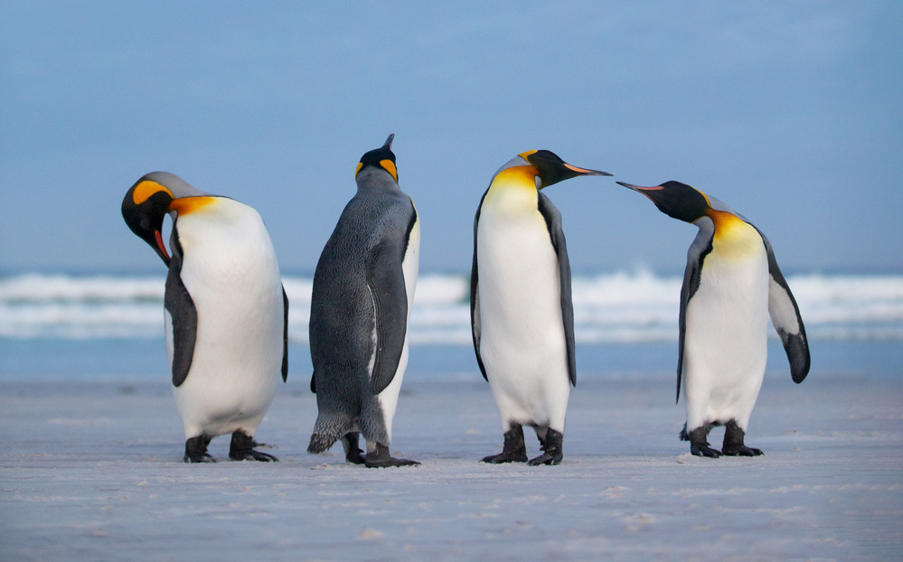 Rest and relaxation von Cheng Chang