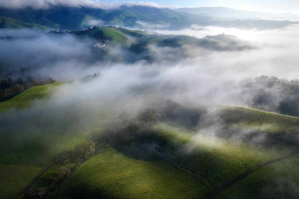 Foggy Hills von Chengming