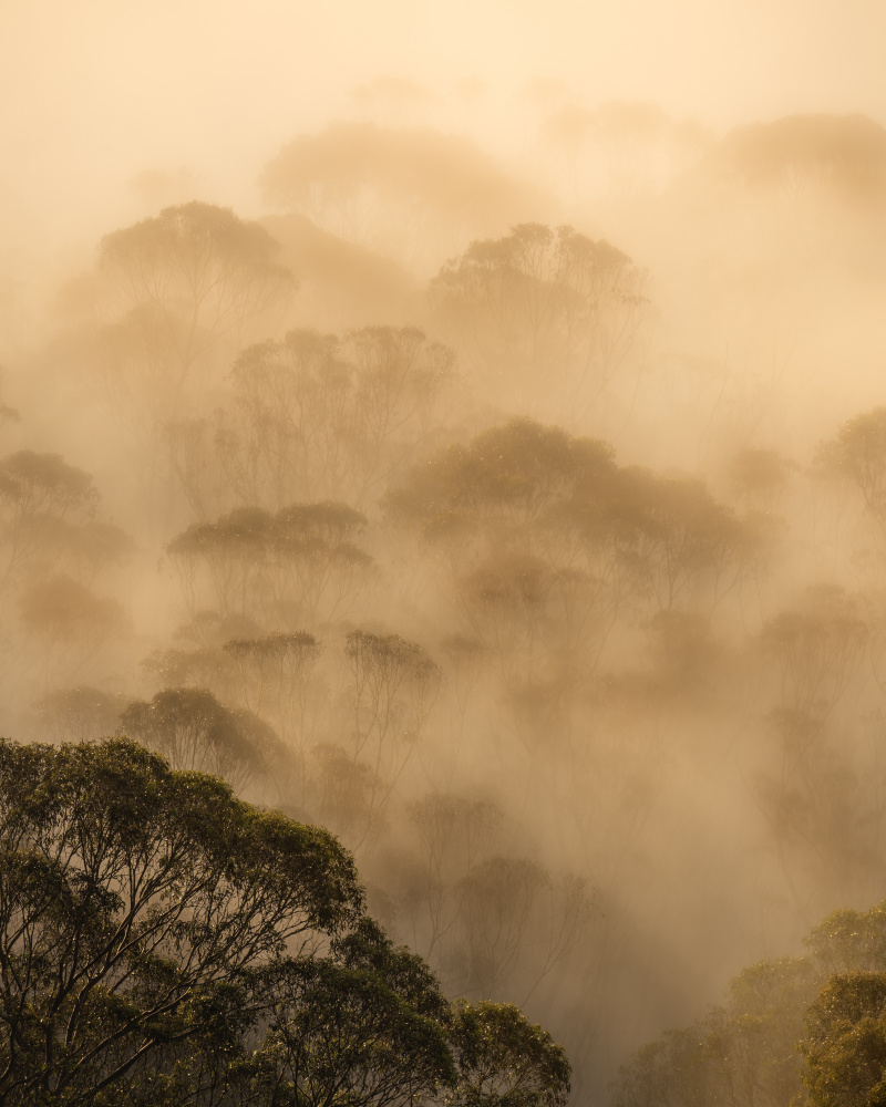 Ink Painting von Chengming