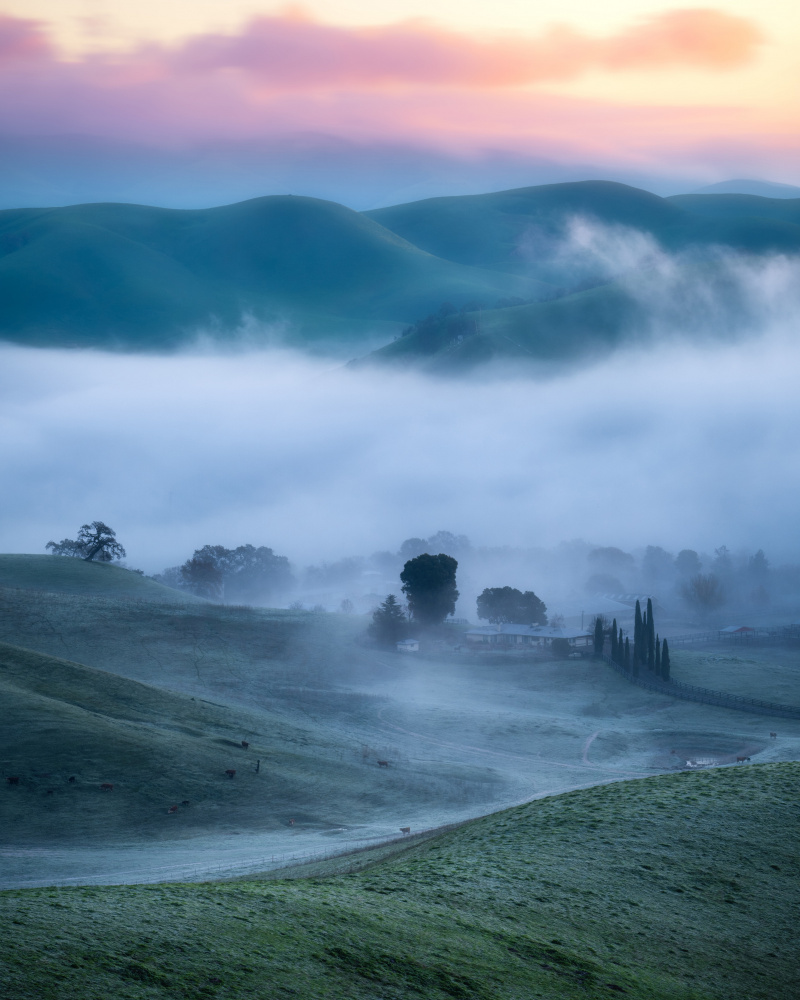 Wonderland von Chengming