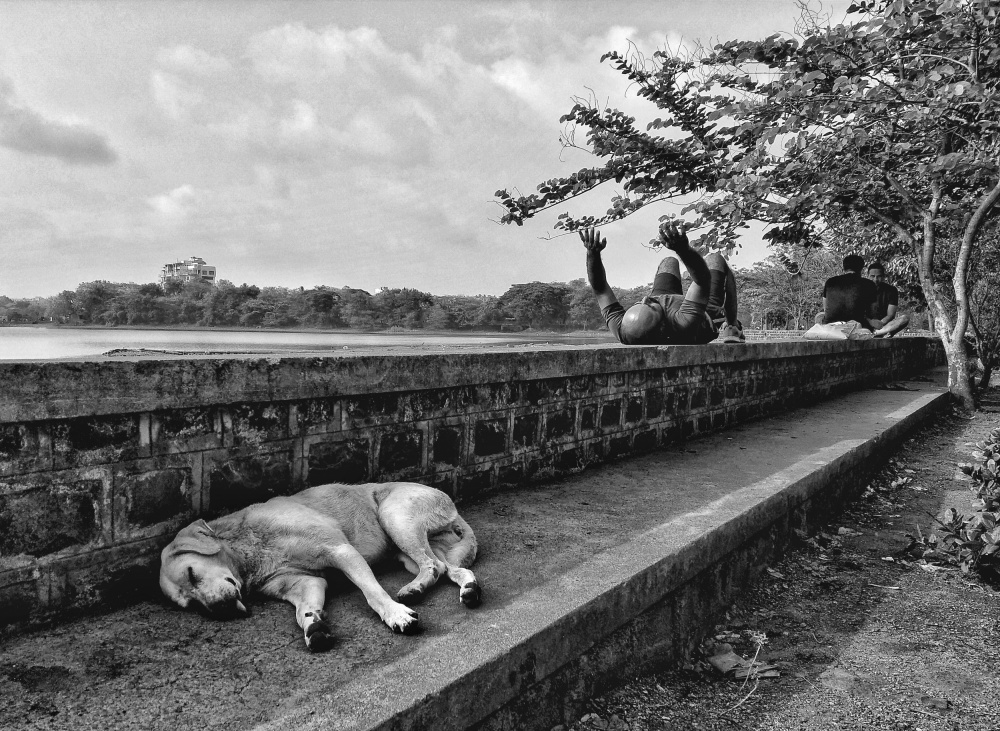 Moods von Chetan Shashi Suresh Dodwad