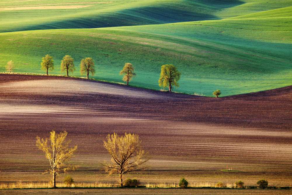 ... von Chowaniec Tomasz