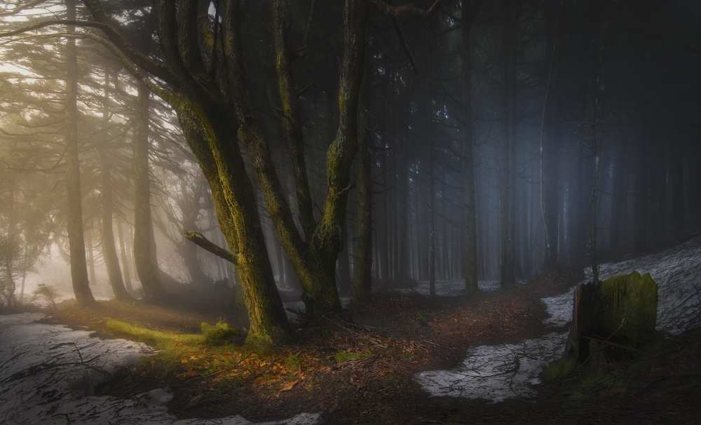 The Moment of Choice von Chris Kaddas