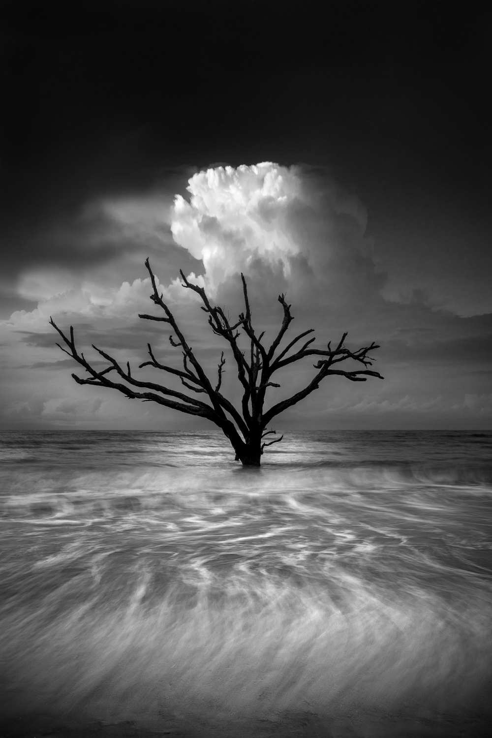 Oceanus von Chris Moore