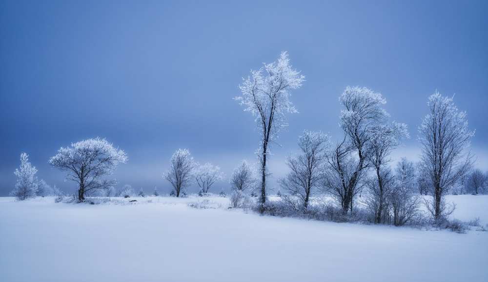 Winterland von Christian Duguay
