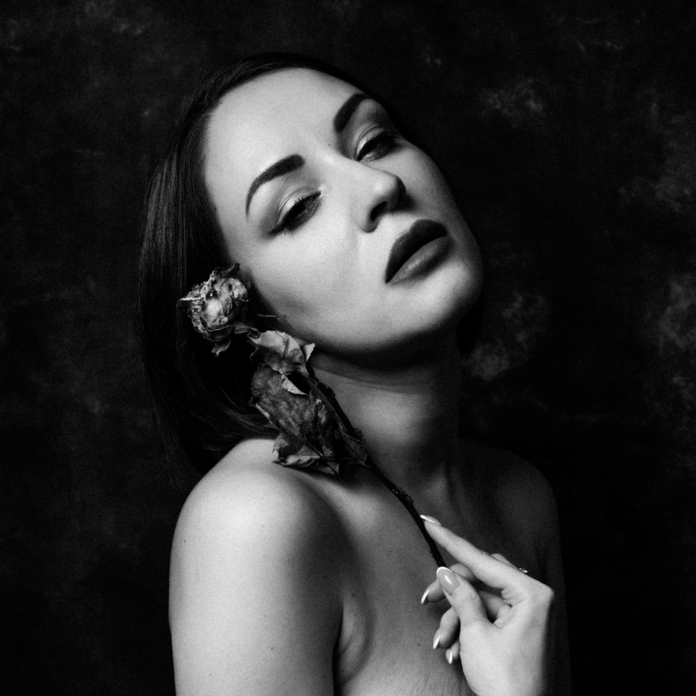 die Rose von Christian Kurz