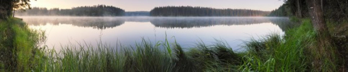 Fischen im Waldviertel von Christian Lehner