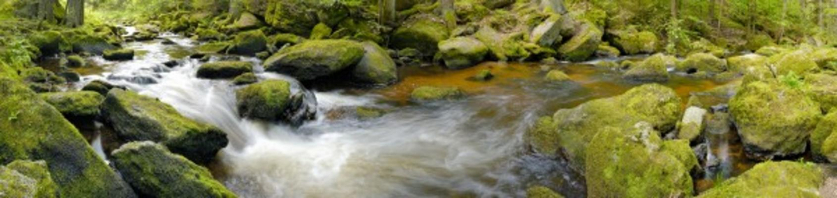 Höllfallpanorama von Christian Lehner