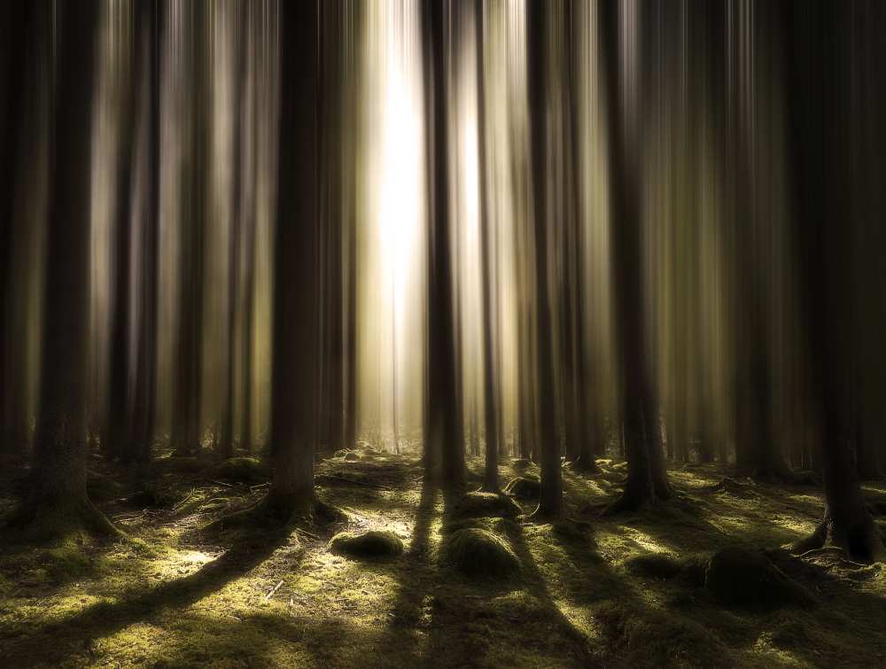 Breath of life von Christian Lindsten