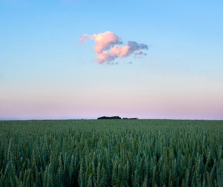 Simple things in life