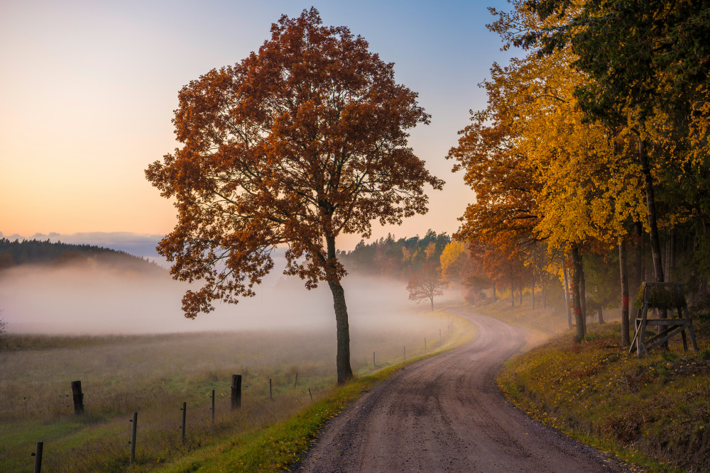 Countryside vibes von Christian Lindsten
