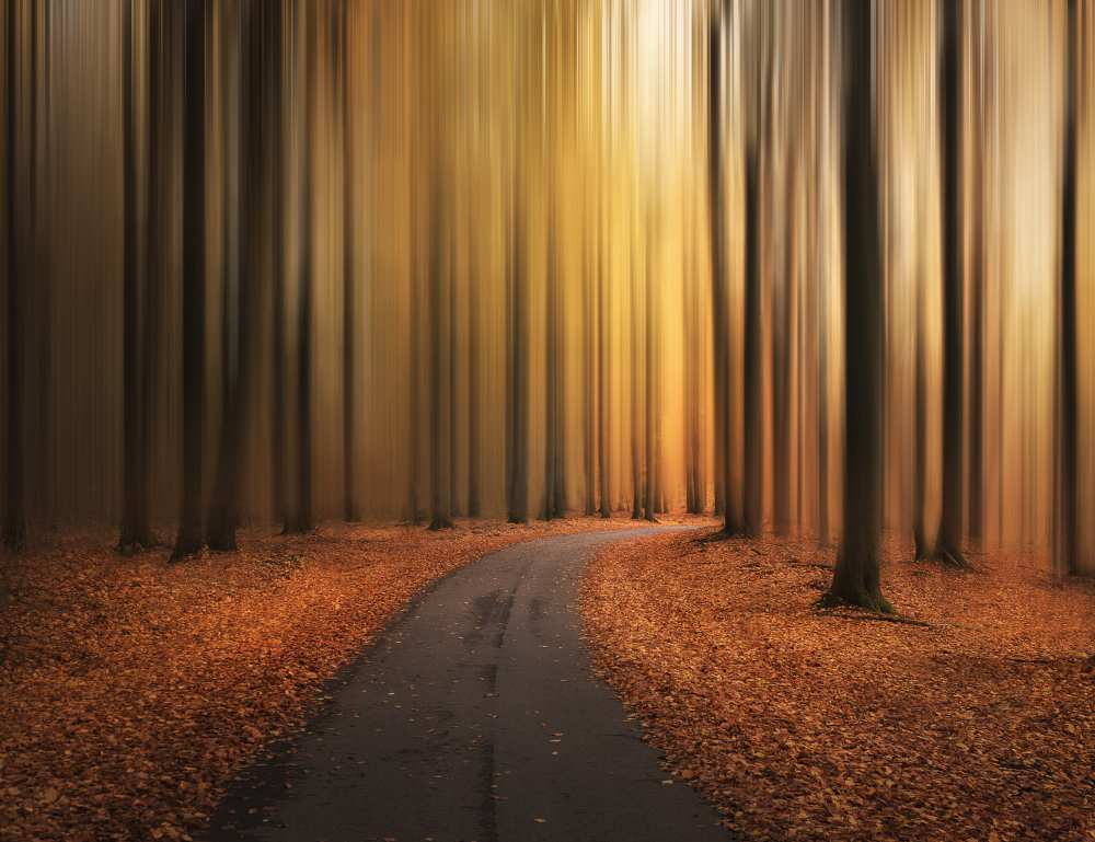 Path to unknown von Christian Lindsten